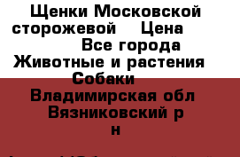 Щенки Московской сторожевой  › Цена ­ 25 000 - Все города Животные и растения » Собаки   . Владимирская обл.,Вязниковский р-н